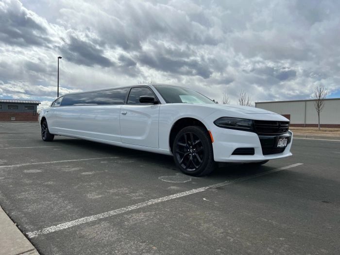 White stretch limo